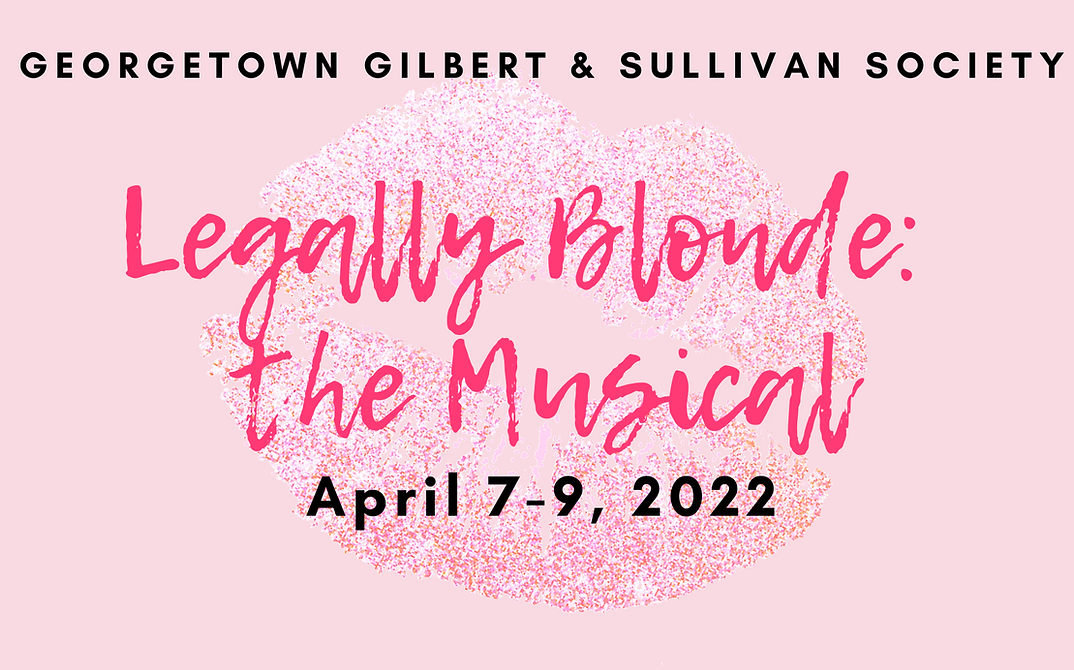 Legally Blonde the Musical